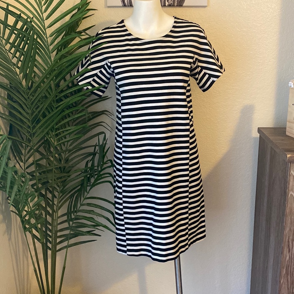 ‼️Closet Clear Out‼️ Jcrew Striped Dress